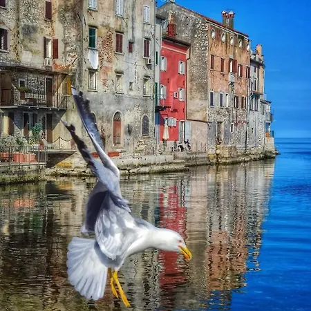 Cosy In Old Town * Rovinj